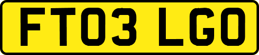 FT03LGO