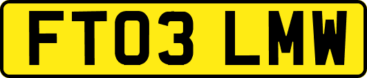 FT03LMW