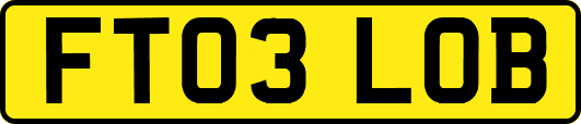 FT03LOB