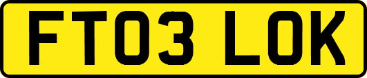 FT03LOK