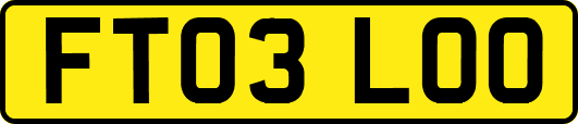 FT03LOO