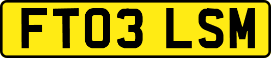 FT03LSM