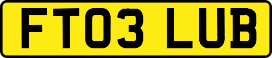 FT03LUB