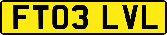 FT03LVL