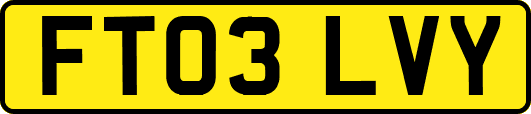 FT03LVY