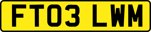FT03LWM