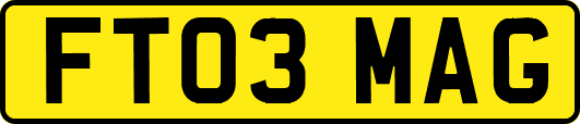FT03MAG