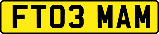 FT03MAM