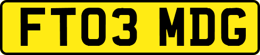 FT03MDG