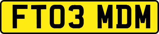 FT03MDM