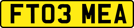 FT03MEA