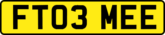 FT03MEE