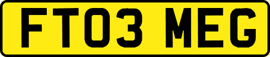 FT03MEG