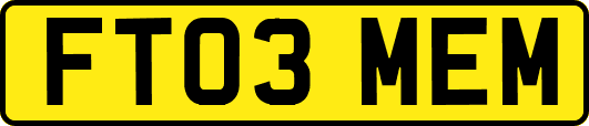 FT03MEM