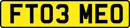 FT03MEO