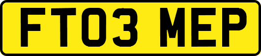 FT03MEP