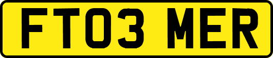 FT03MER