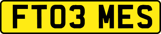 FT03MES