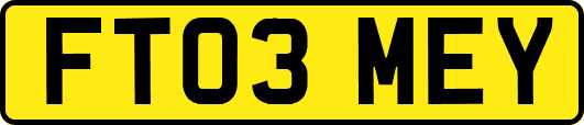 FT03MEY