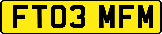 FT03MFM
