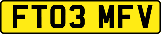 FT03MFV