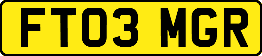 FT03MGR