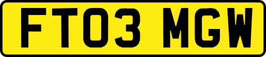 FT03MGW