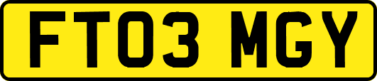 FT03MGY