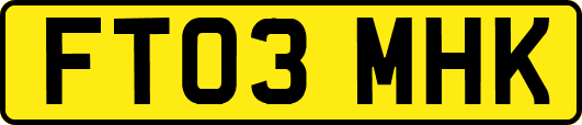 FT03MHK
