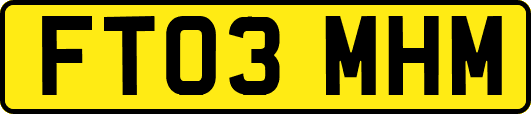 FT03MHM