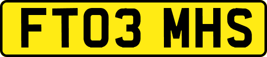 FT03MHS