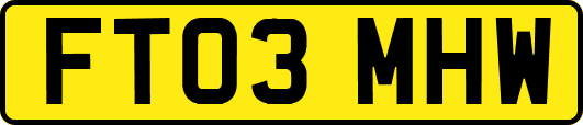 FT03MHW