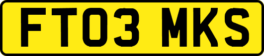 FT03MKS