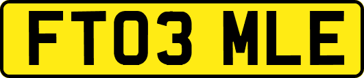 FT03MLE