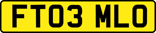 FT03MLO
