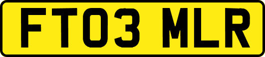 FT03MLR