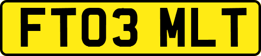 FT03MLT