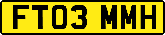 FT03MMH