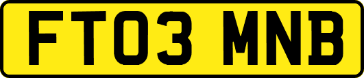 FT03MNB