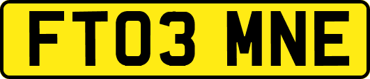 FT03MNE