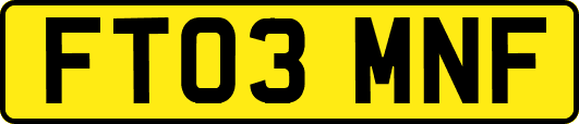 FT03MNF