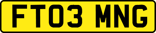FT03MNG