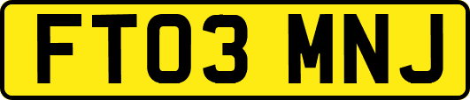 FT03MNJ