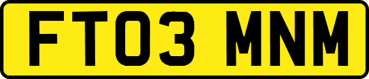 FT03MNM