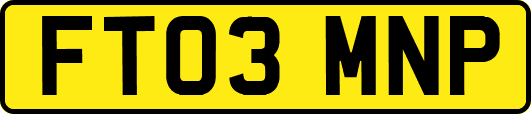 FT03MNP