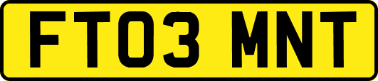 FT03MNT