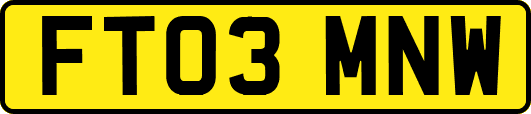FT03MNW
