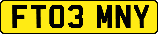 FT03MNY
