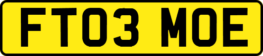 FT03MOE