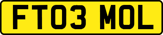 FT03MOL